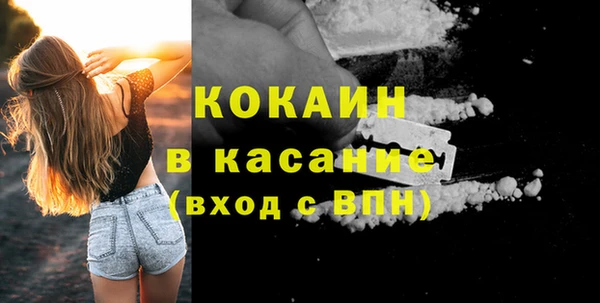 соль ск Дмитриев