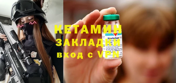 соль ск Дмитриев