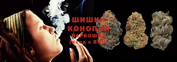 соль ск Дмитриев