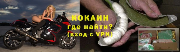 соль ск Дмитриев