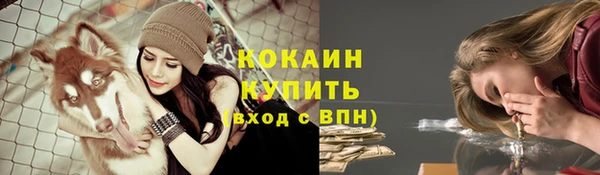 соль ск Дмитриев