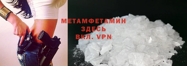 соль ск Дмитриев