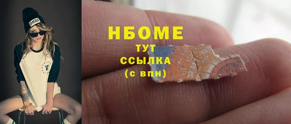 соль ск Дмитриев