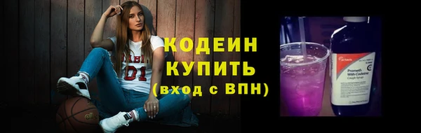 соль ск Дмитриев