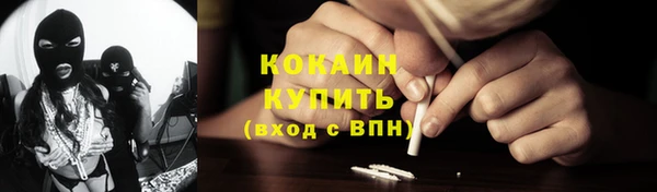 соль ск Дмитриев