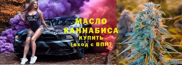 соль ск Дмитриев