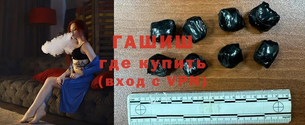соль ск Дмитриев