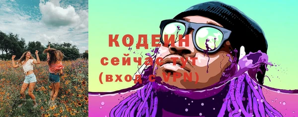 хмурый Дмитров