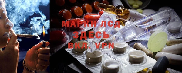 хмурый Дмитров