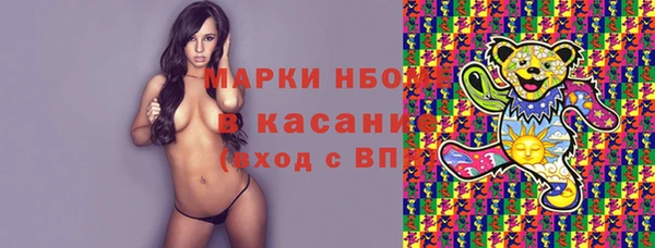 хмурый Дмитров