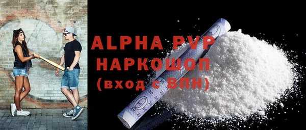 соль ск Дмитриев