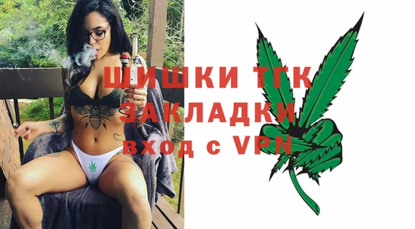 хмурый Дмитров