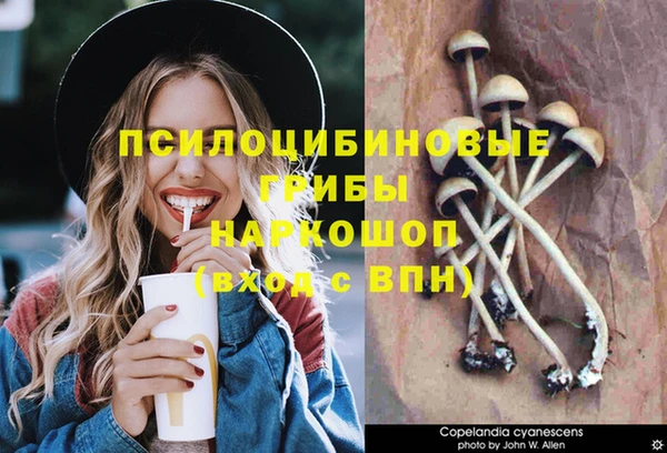 хмурый Дмитров