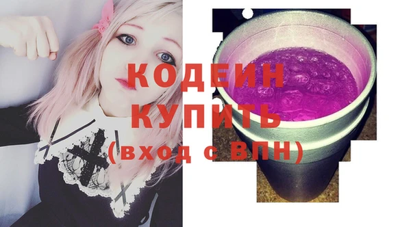 хмурый Дмитров